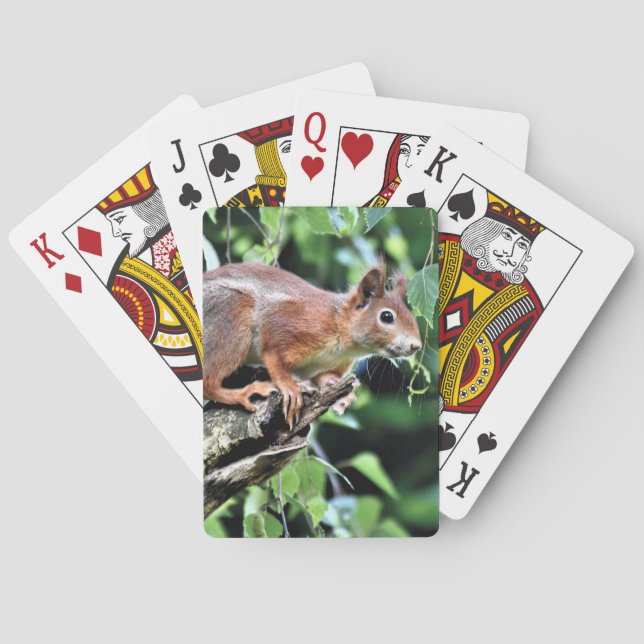Red Squirrel in Tree Poker Cards (Back)