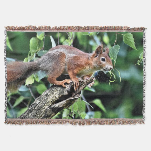 Red Squirrel in Tree Throw Blanket (Front)
