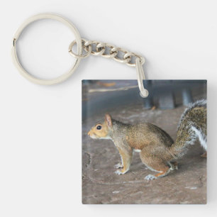 Red Squirrel Keychain