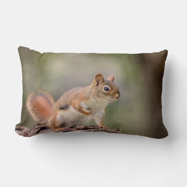 Red Squirrel Lumbar Pillow (Front)