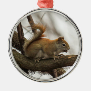 Red Squirrel Metal Ornament