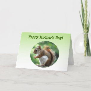 Red Squirrel Mothers Day Card