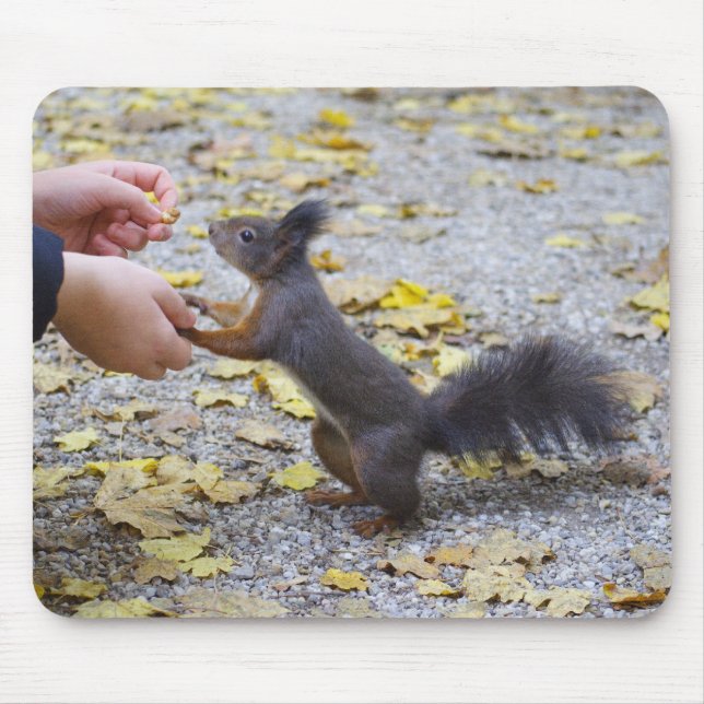 Red Squirrel Mouse Pad (Front)