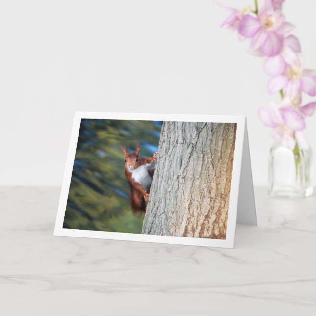 Red Squirrel on Tree Card (Orchid)