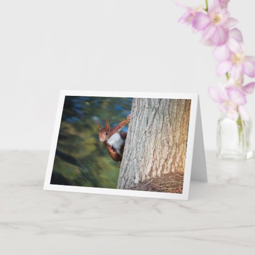 Red Squirrel on Tree Card