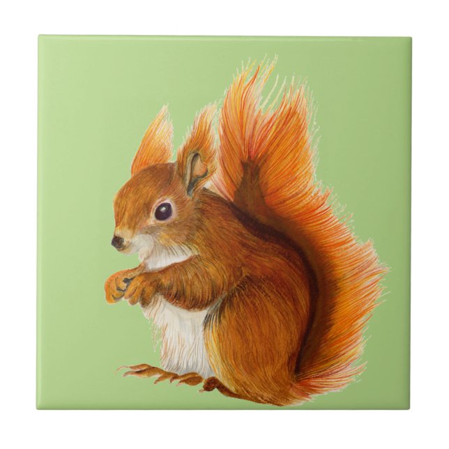 Red Squirrel Painted in Watercolor Wildlife Art Tile (Front)