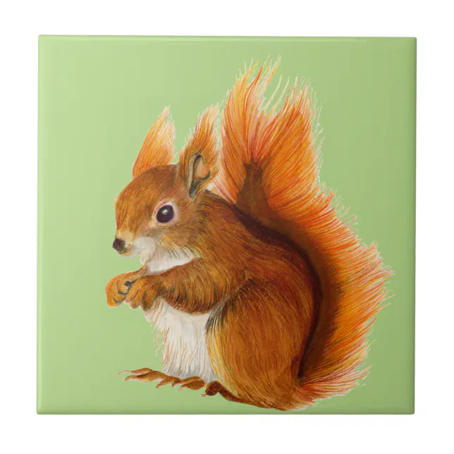 squirrel watercolor drawing