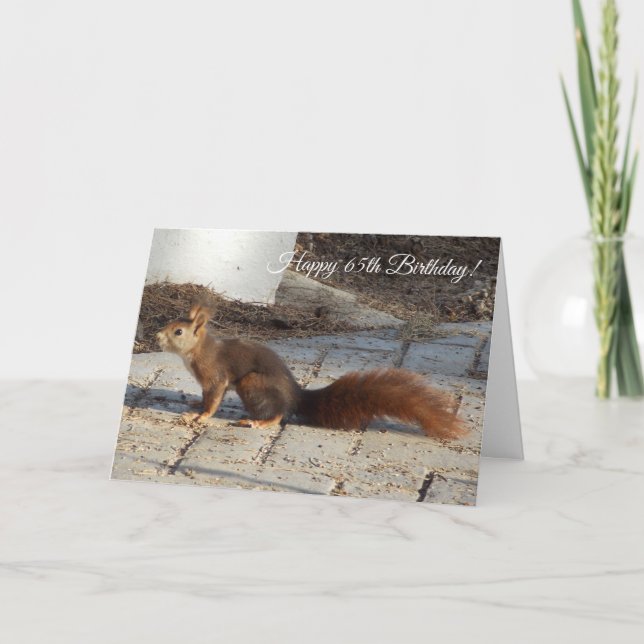 Red Squirrel Personalised 65th Birthday Card (Front)