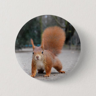 Red Squirrel Pinback Button