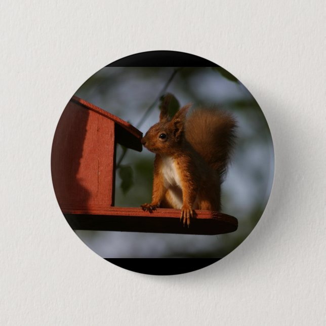 Red squirrel pinback button (Front)