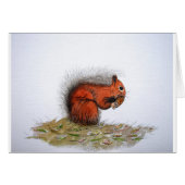 Red Squirrel pine cone Cards (Front Horizontal)