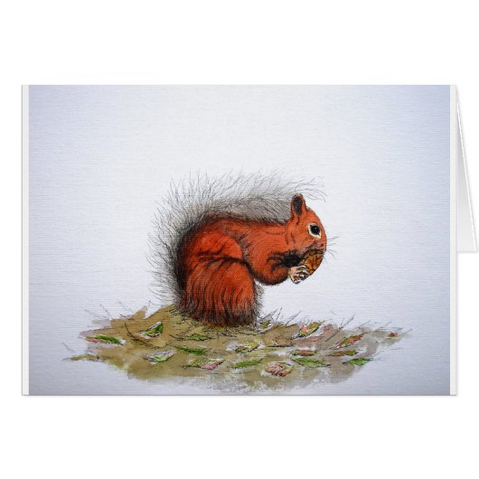 Red Squirrel pine cone Cards (Front Horizontal)