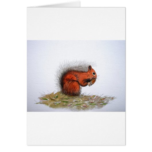Red Squirrel pine cone Cards (Front)