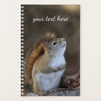 Red Squirrel Planner by backyardwonders at Zazzle