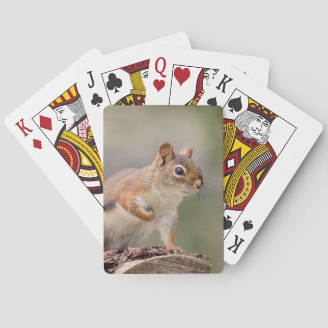 Red Squirrel Poker Cards (Back)