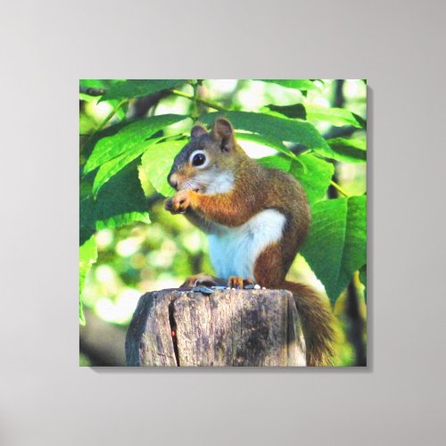 Red Squirrel Portrait Canvas Print