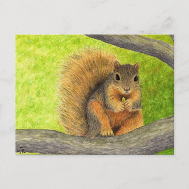 Red Squirrel Postcard (Front)