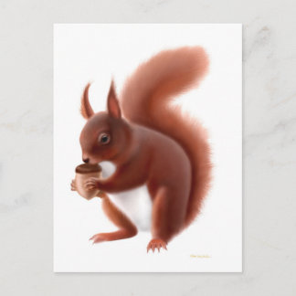 Red Squirrel Postcard
