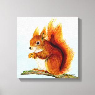 Red Squirrel Watercolor Painting Canvas Print