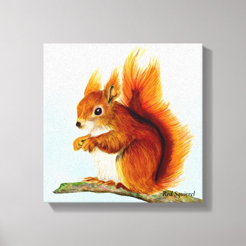 Red Squirrel Watercolor Painting  Canvas Print