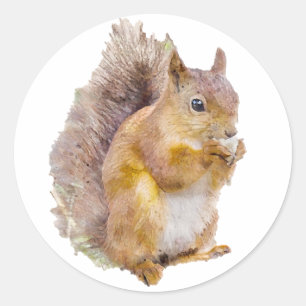 Red squirrel watercolor painting classic round sticker