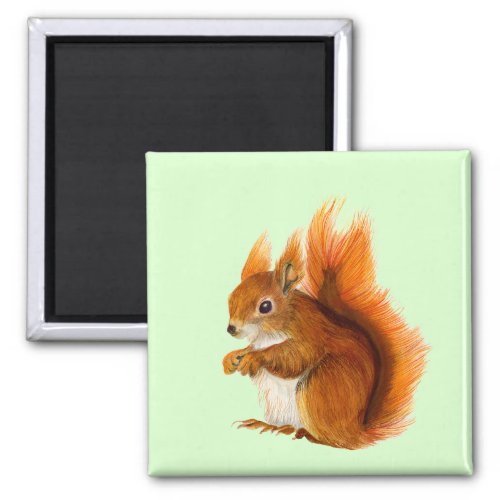 Red Squirrel Watercolor Painting Wildlife Artwork Magnet