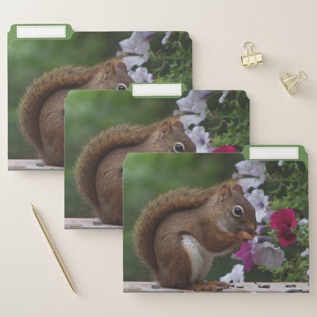 Red Squirrel with Petunia Flowers File Folder Set