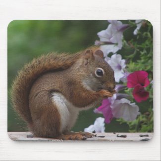 Red Squirrel with Petunias Mouse Pad