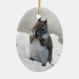 Red Squirrel's Blue Winter Ceramic Ornament
