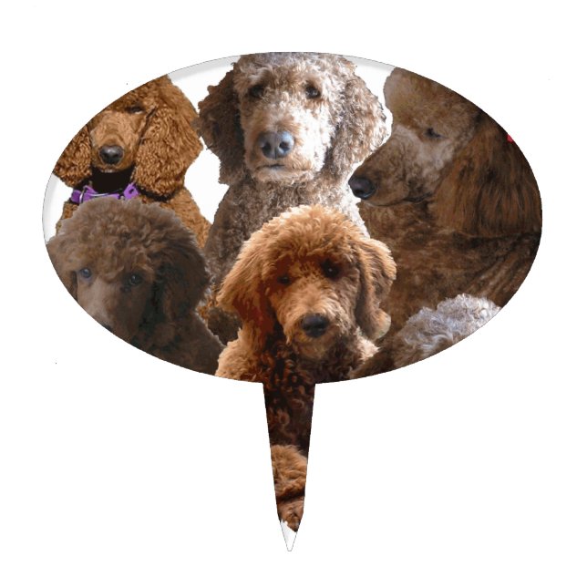 Red Standard Poodle Cake Topper (Front)