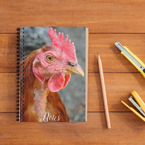Red Star Chicken Hen Notebook
