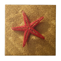 red starfish ceramic tile