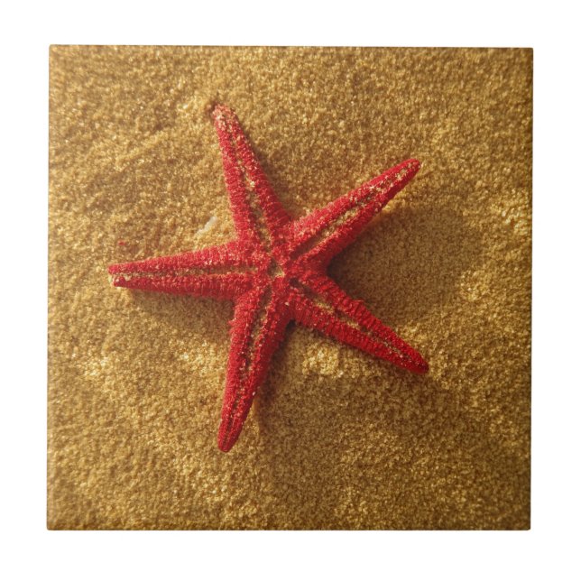 red starfish ceramic tile (Front)