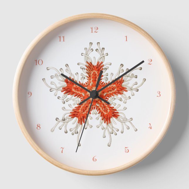 Red starfish vintage Wall Clock (Front)