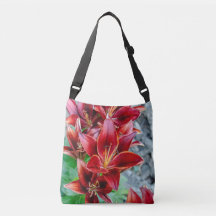 Red Stargazer Lily – Edmonton Nature Photography