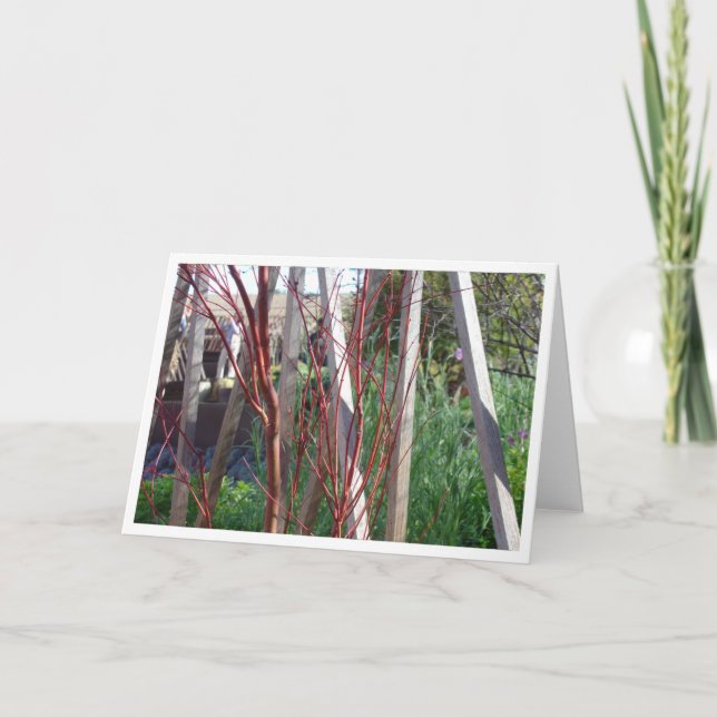 Red Sticks & White Stakes Card (Front)