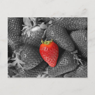 Red strawberry card