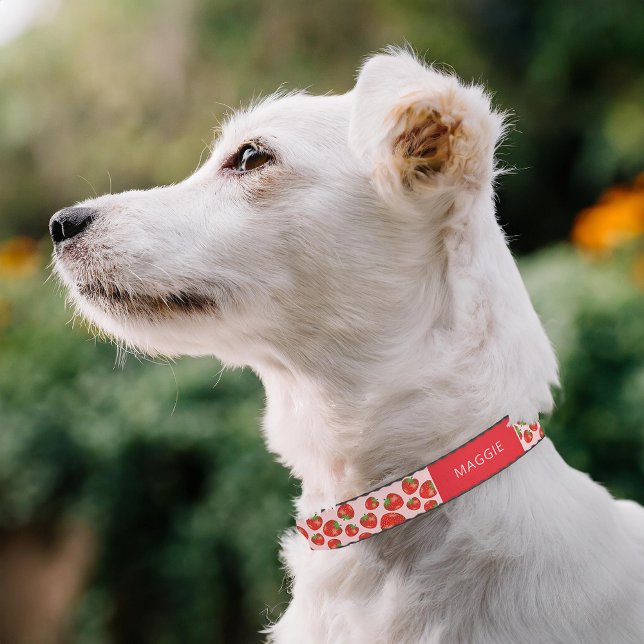 Red Strawberry Pattern On Pink With Pet's Own Name Pet Collar (Please note: This image is a digital mockup. The product may not be in scale.)