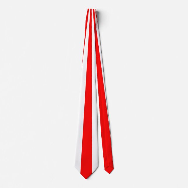 Red Stripe Pattern Neck Tie (Front)