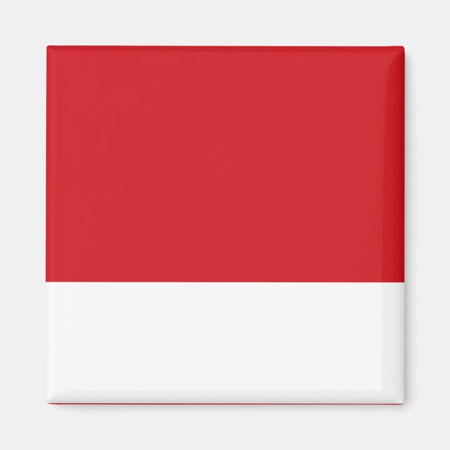 Red striped magnet (Front)