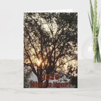 Red Sun and Trees Photo 2020 Folded Greeting Card
