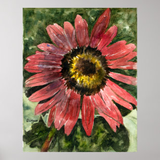 Red Sunflower 5 Watercolor Painting Print/Poster Poster
