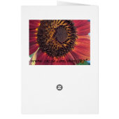 Red Sunflower Blank Cards (Back)