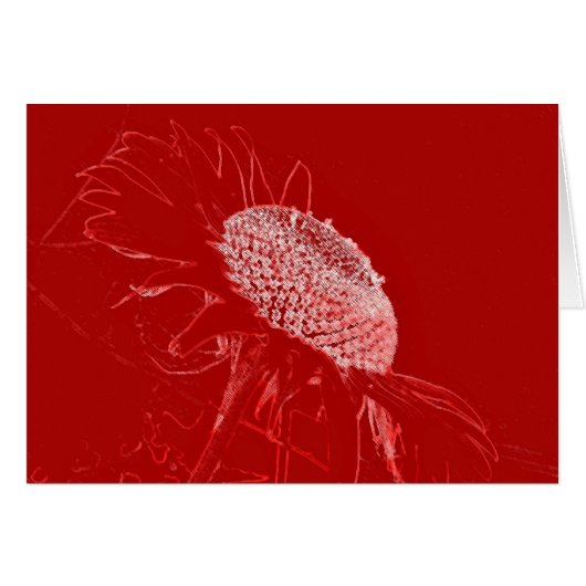 Red sunflower cards (Front Horizontal)