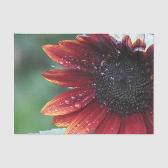 Red Sunflower Green Background Tissue Paper (Front)