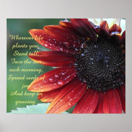 Red Sunflower Inspirational Advice Large Poster