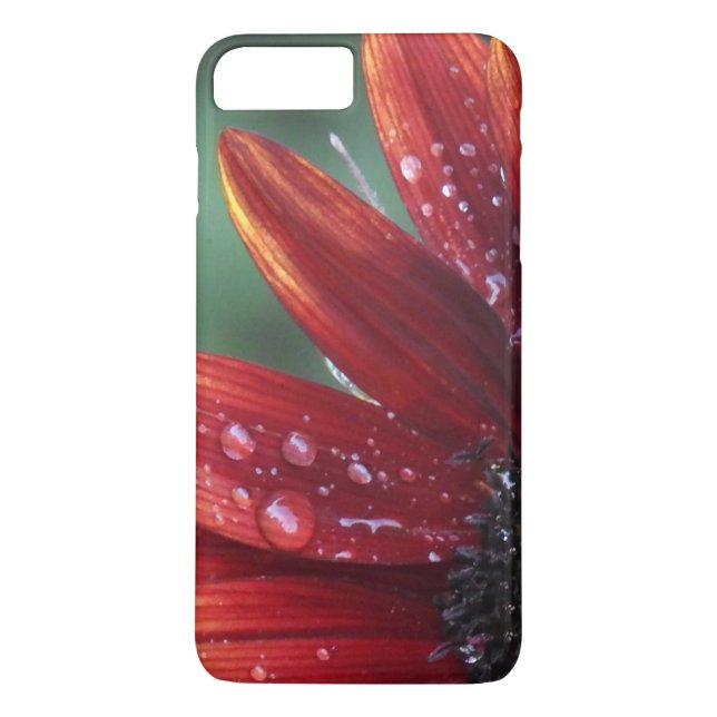 Red Sunflower Petals And Rain Drops Case-Mate iPhone Case (Back)