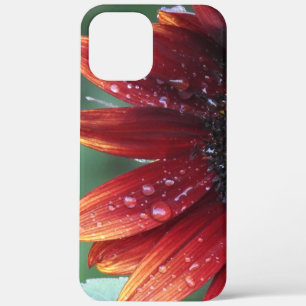 Red Sunflower Petals And Rain Drops iPhone 12 Pro Max Case