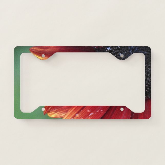 Red Sunflower Petals And Rain Drops License Plate Frame (Front)