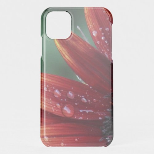 Red Sunflower Petals And Rain Drops  iPhone 11 Case